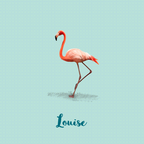 Geboortekaart meisje met flamingo en retro achtergrond