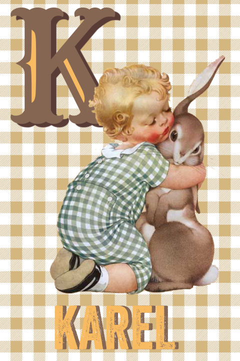 Geboortekaart retro alfabet op maat jongetje met konijn