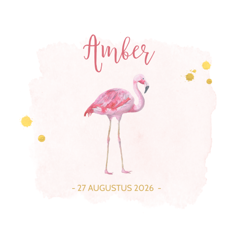 Geboortekaartje flamingo meisje