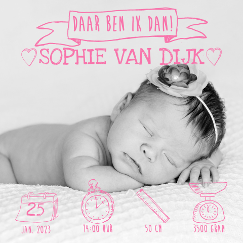 Geboortekaartje meisje met foto icoontjes roze 