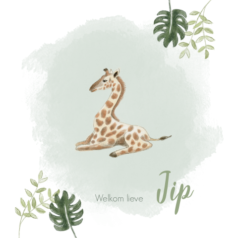 Geboortekaartje giraf jongen