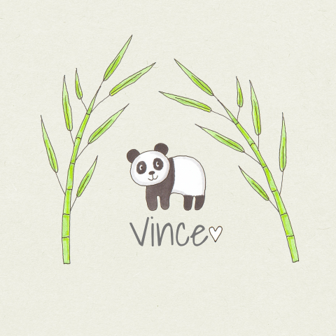 Geboortekaartje jongen panda bamboe hart
