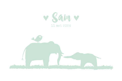 Geboortekaartje jongen silhouet olifanten groen