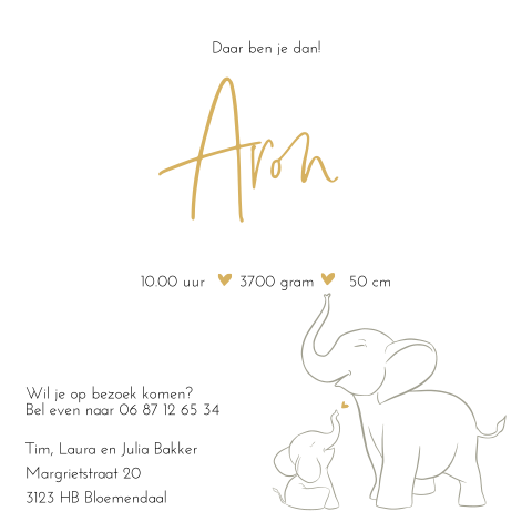 Geboortekaartje jongen olifant vierkant goudfolie
