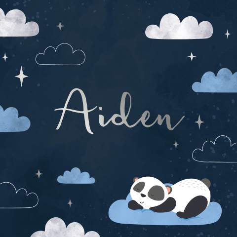 Geboortekaartje jongen wolken en sterren met panda blauw