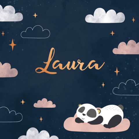 Geboortekaartje meisje wolken en sterren met panda roze