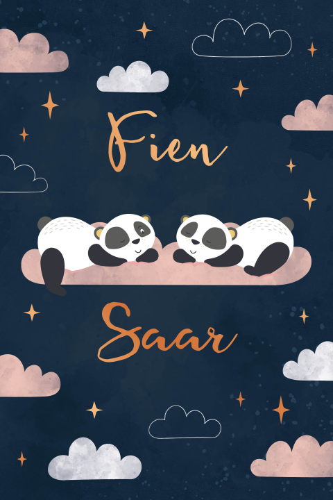 Geboortekaartje meisjes tweeling wolken en sterren met panda roze