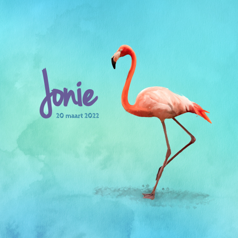 Geboortekaartje met een vrolijke flamingo