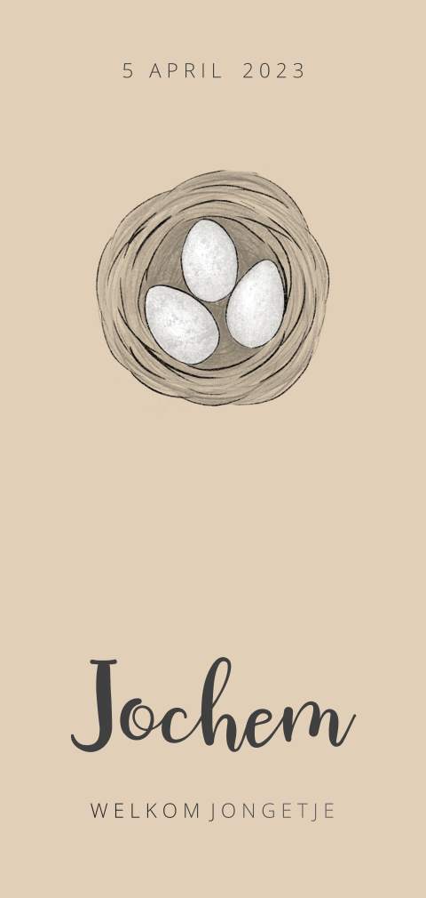 Geboortekaartje nestje eitjes voor een jongen