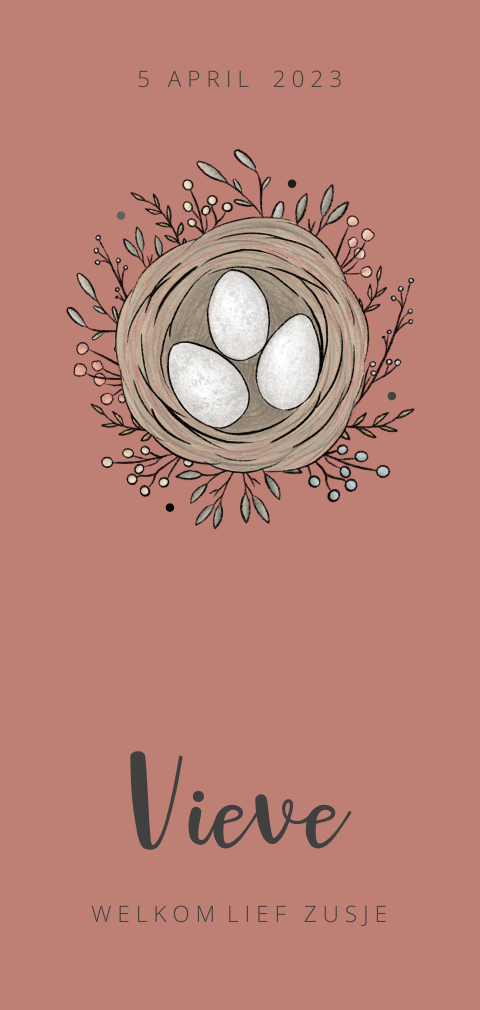 Geboortekaartje nestje eitjes voor een meisje