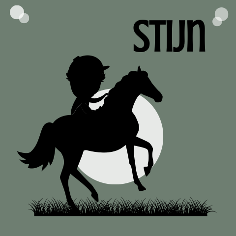 Geboortekaartje met silhouet jongetje op paard