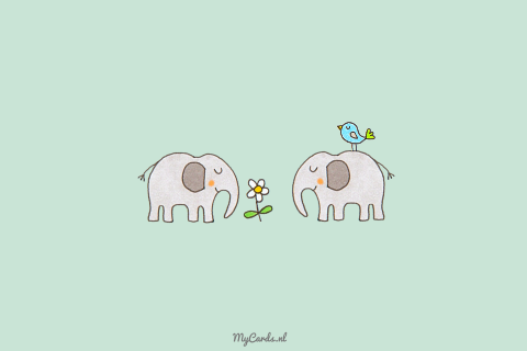 Geboortekaartje tweeling olifanten jongens vogel bloem groen