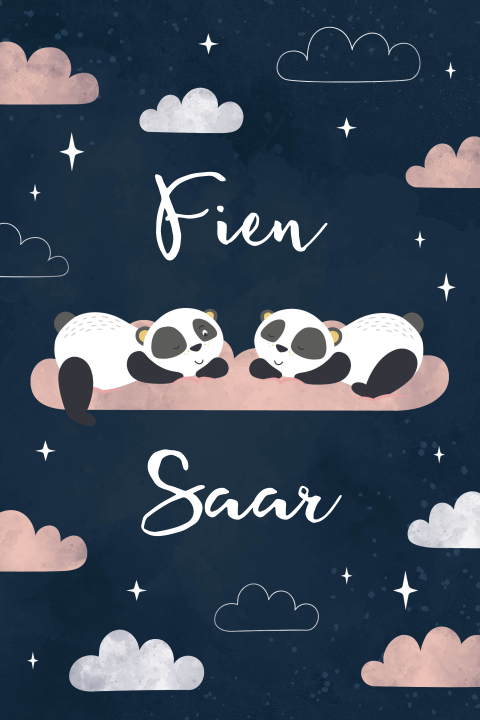 Geboortekaartje tweeling wolken en sterren met panda roze