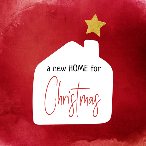 Kerst verhuiskaart Huis met Ster rood