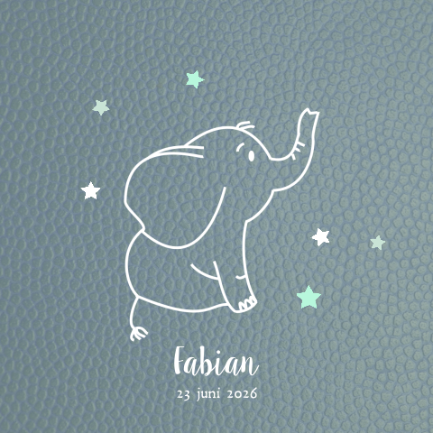 Lief geboortekaartje voor een jongen met een olifantje
