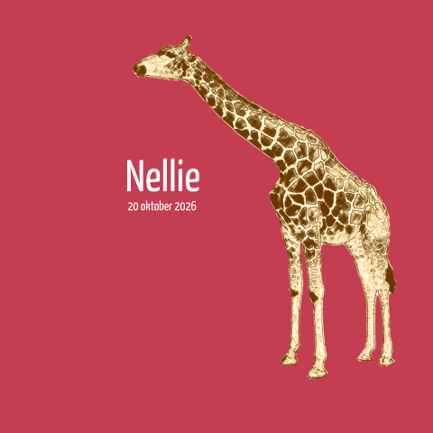 Geboortekaartje meisje met felle achtergrond en getekende giraffe