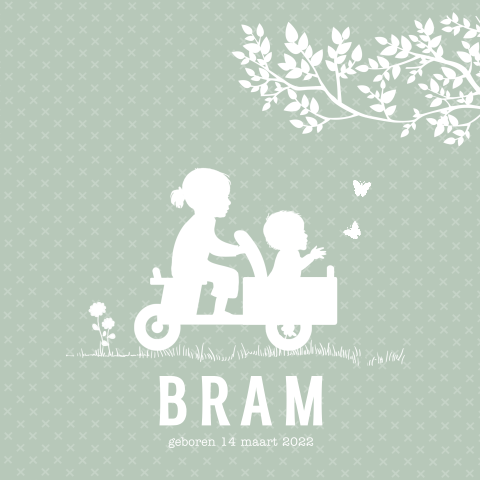 Profiel geboorte kaartje jongen met zus en houten fietskar