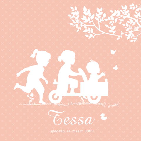 Profiel geboortekaartje meisje in houten fietskar