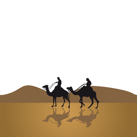 Originele trouwkaart met kameel paleis en moskee molen reizen