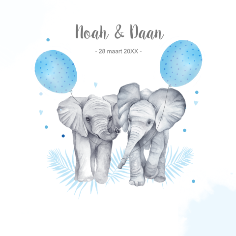 Tweeling geboortekaartje jongetjes olifantjes ballonnen
