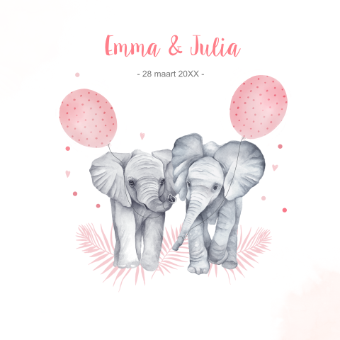 Tweeling meisjes olifantjes geboortekaartje