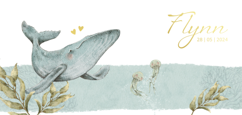 Uniek geboortekaartje met lief walvisje in de zee