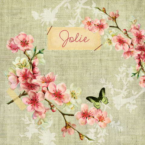 Vintage lente geboortekaartje met bloesemtakken en vlinders