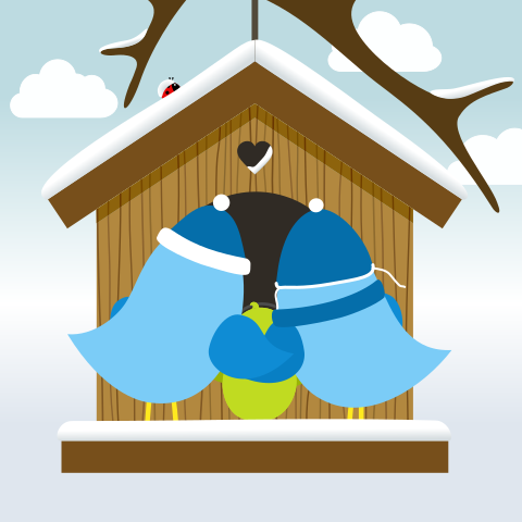 Vrolijk vogel geboortekaartje jongen en broer in vogelhuisje in sneeuw