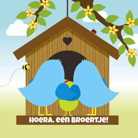 vrolijk lente-zomer vogel geboortekaartje jongen en zus in vogelhuisje