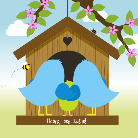 vrolijk lente-zomer vogel geboortekaartje meisje broer in vogelhuisje
