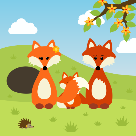 Vrolijk geboortekaartje voor jongen met vosjes in lente-zomer